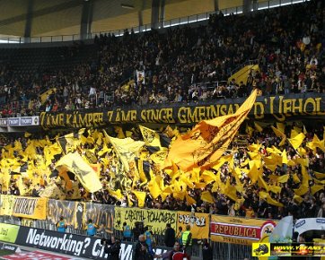 BSC Young Boys - FC Sion 05.10.2008