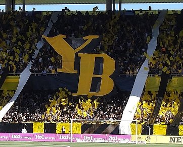 BSC Young Boys - FC Zürich 28.08.2011