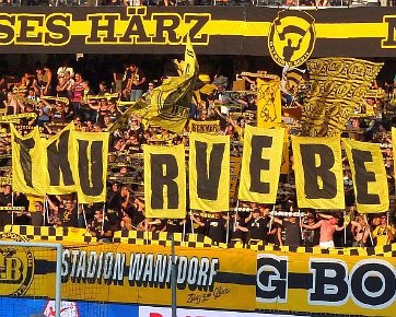 BSC Young Boys - FC Lugano 12.08.2015