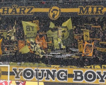 BSC Young Boys - FC Sion 05.02.2017